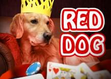 Игровой автомат Red Dog